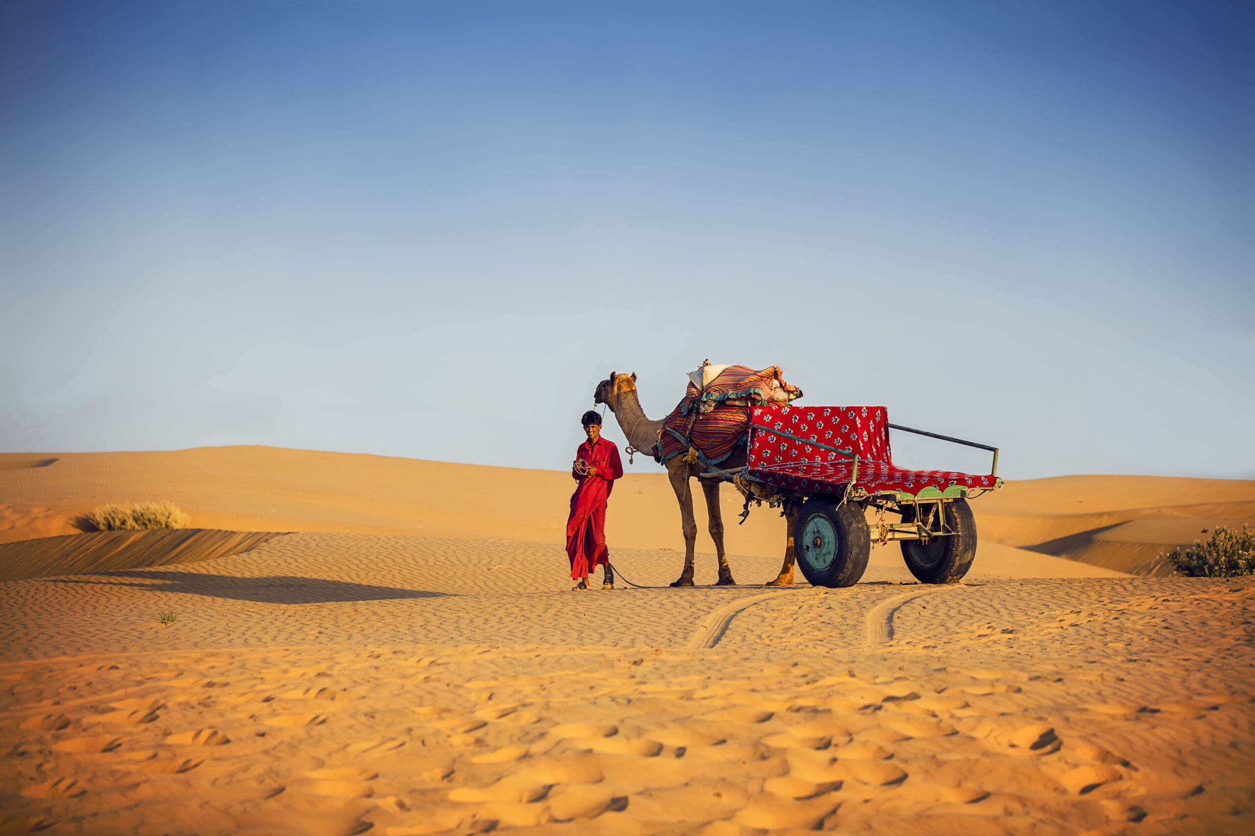 sam sand dunes jaisalmer 390a1560 scaled.jpg